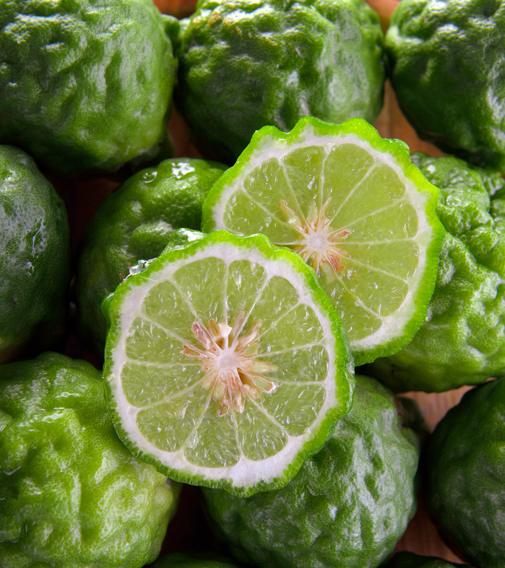 bergamot